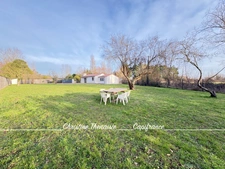 Maison à vendre Contemporaine - 2 chambres avec salle d'eau privative - Grand terrain  SAINT JEAN DE MONTS (85)