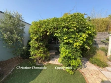Maison à vendre 7 pièces SION SUR L'OCEAN (85)