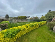 Maison de 160 m2 DPE D à vendre  CALLAC (22)