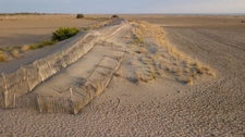 GARD(30) À VENDRE Fonds de Commerce de Promenade à Cheval à proximité de la mer en petite Camargue 10 000 m 2.