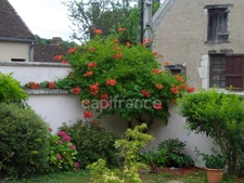 Maison à vendre 9 pièces BASSOU (89)