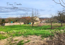 Terrain à vendre  LAIZE (71)