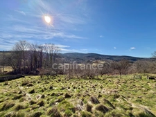 MAISON DE VILLAGE DE 185 M2 À RÉNOVER, 6 CHAMBRES, TERRAIN DÉPORTÉ DE 208 M2, COMBLES AMÉNAGEABLES DE 120 M2, FIBRE OPTIQUE, GARAGE, ATELIER, CAVE VOÛTÉE, TOUT-À-LÉGOUT, TF 182€