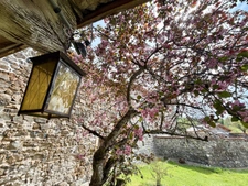 MAISON MITOYENNE ENTIÈREMENT À RÉNOVER DE 115 M2, TERRAIN DE 2 673 M2, 3 CHAMBRES, 220 M2 DE DÉPENDANCES, GROS TRAVAUX À PRÉVOIR, SOURCE, TF 241€