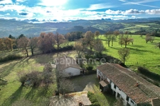 MAISON PLAIN-PIED DE 135 M2, TERRAIN ARBORÉ DE 5 675 M2, 4 CHAMBRES, DÉPENDANCES, VUE DÉGAGÉE, FIBRE, TF 547€, PUITS, MARE, FOUR À PAIN