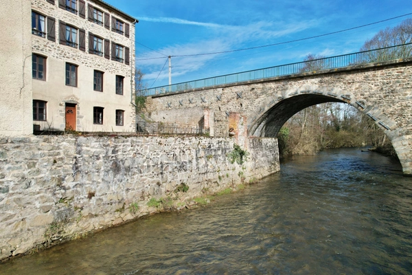 PROPRIÉTÉ EN PIERRE 545 M2, TERRAIN ARBORÉ DE 6972 M2, ANCIEN MOULIN, GÎTE, APPARTEMENT, MAISON, STUDIO, 15 CHAMBRES, DÉPENDANCES, GARAGE, FIBRE OPTIQUE, PUITS PANNEAUX SOLAIRES