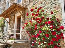 MAISON EN PIERRE DE 100 M2, 3 CHAMBRES, TERRAIN ATTENANT DE 371 M2 + 2450 M2 INDÉPENDANT, 200 M2 DE DÉPENDANCES, CAVES, FIBRE OPTIQUE, DOUBLE VITRAGE PVC AVEC VOLETS ROULANTS SOLAIRES, TOUT-À-L'ÉGOUT