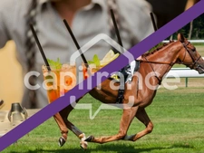 À VENDRE : Bar PMU & Snack – Axe passant avec parking