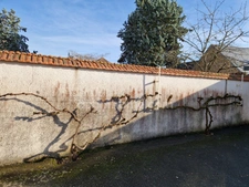 Appartement avec terrasse et jardin à CHATEAUDUN (28)