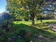 Maisonquartier Jean zay  trois chambres de plain pied, 750m² terrain 