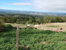 Terrain à vendre de 4122  proche de ESCOUTOUXx (63)