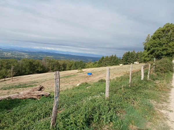 Terrain à vendre de 4122  proche de ESCOUTOUXx (63)