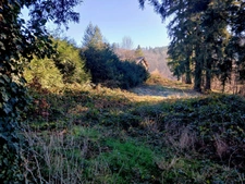 Terrain à vendre  bellevue Thiers