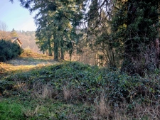 Terrain à vendre  bellevue Thiers