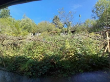 Ensemble immobilier à rénover comprenant maison de ville, appartement et 2 anciens ateliers de coutellerie