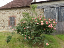 Maison et grange  à vendre 6 pièces  (23)