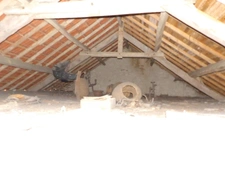 Maison à vendre 3 pièces SAINTE THERENCE (03)