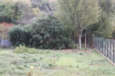 House for sale, 5 rooms, LA CHAPELLE TAILLEFERT (23)