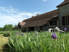 Propriete à vendre 6 pièces BIZENEUILLE (03)