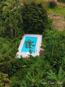 Maison avec piscine au cœur d’un écrin tropical - 5 pièces PETIT BOURG (971)