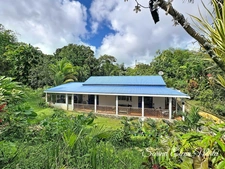 Maison avec piscine au cœur d’un écrin tropical - 5 pièces PETIT BOURG (971)