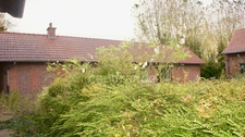 Local/bureau à vendre STEENWERCK (59) Corps de ferme au carré pour un usage mixte sur une parcelle de 27 474 m²