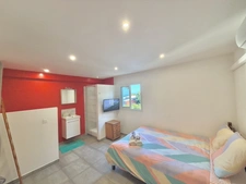 À vendre – Villa T11 d'exception avec piscine, jacuzzi et fort potentiel locatif – Mont-Vert-les-Bas (Saint-Pierre)