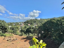 Dpt La Réunion (974), à vendre ENTRE DEUX - Terrain de 482m2