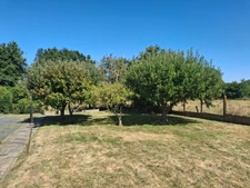 Maison à vendre 0 pièces PLEINE FOUGERES (35)