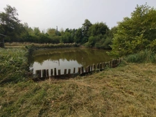 À vendre – Terrain de loisir avec étang et cabanon – Montfort-le-Gesnois