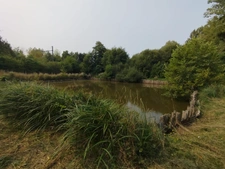 À vendre – Terrain de loisir avec étang et cabanon – Montfort-le-Gesnois