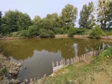 À vendre – Terrain de loisir avec étang et cabanon – Montfort-le-Gesnois