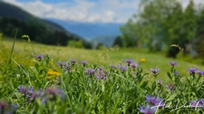 Authentic Alpine Farmhouse in the Aravis Mountains