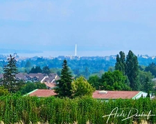 Appartement T4 en attique – Écrin de verdure aux portes de Genève - Résidence de standing