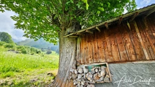 Authentic Alpine Farmhouse in the Aravis Mountains