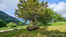Authentic Alpine Farmhouse in the Aravis Mountains