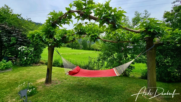 Maison familiale 4 chambres avec jardin, garage, abris voitures et annexes