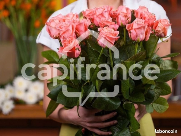 Fleuriste & Décoration – Opportunité en Galerie Commerciale de Premier Choix dans l'Hérault (34)