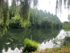 Terrain à vendre en bord de rivière- Dordogne