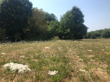 Terrain constructible SAINT FRONT DE PRADOUX (24)