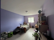Maison lumineuse, économe en énergie et ouverte sur la nature