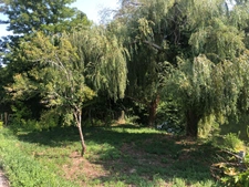 Terrain à vendre en bord de rivière- Dordogne