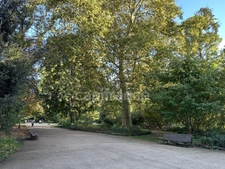 Appartement à vendre 3/ 4 avec balcon immeuble pierre Jardin public  BORDEAUX (33)