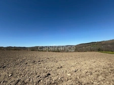 Terrain à vendre  JULOS (65)