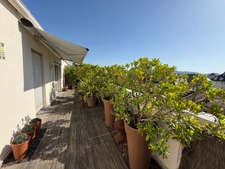Superbe appartement avec terrasse et garage