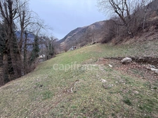 Propriété agricole sur 2,4 hectares de terrain