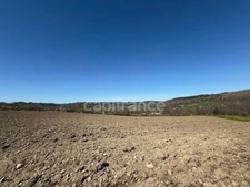 Terrain à vendre  JULOS (65)