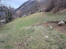 Propriété agricole sur 2,4 hectares de terrain