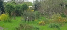 Maison individuelle pleine de charme de 170 m²  - HERGNIES (59)