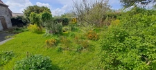 Maison individuelle pleine de charme de 170 m²  - HERGNIES (59)